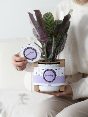 Promotionele- en relatiegeschenken specialisten