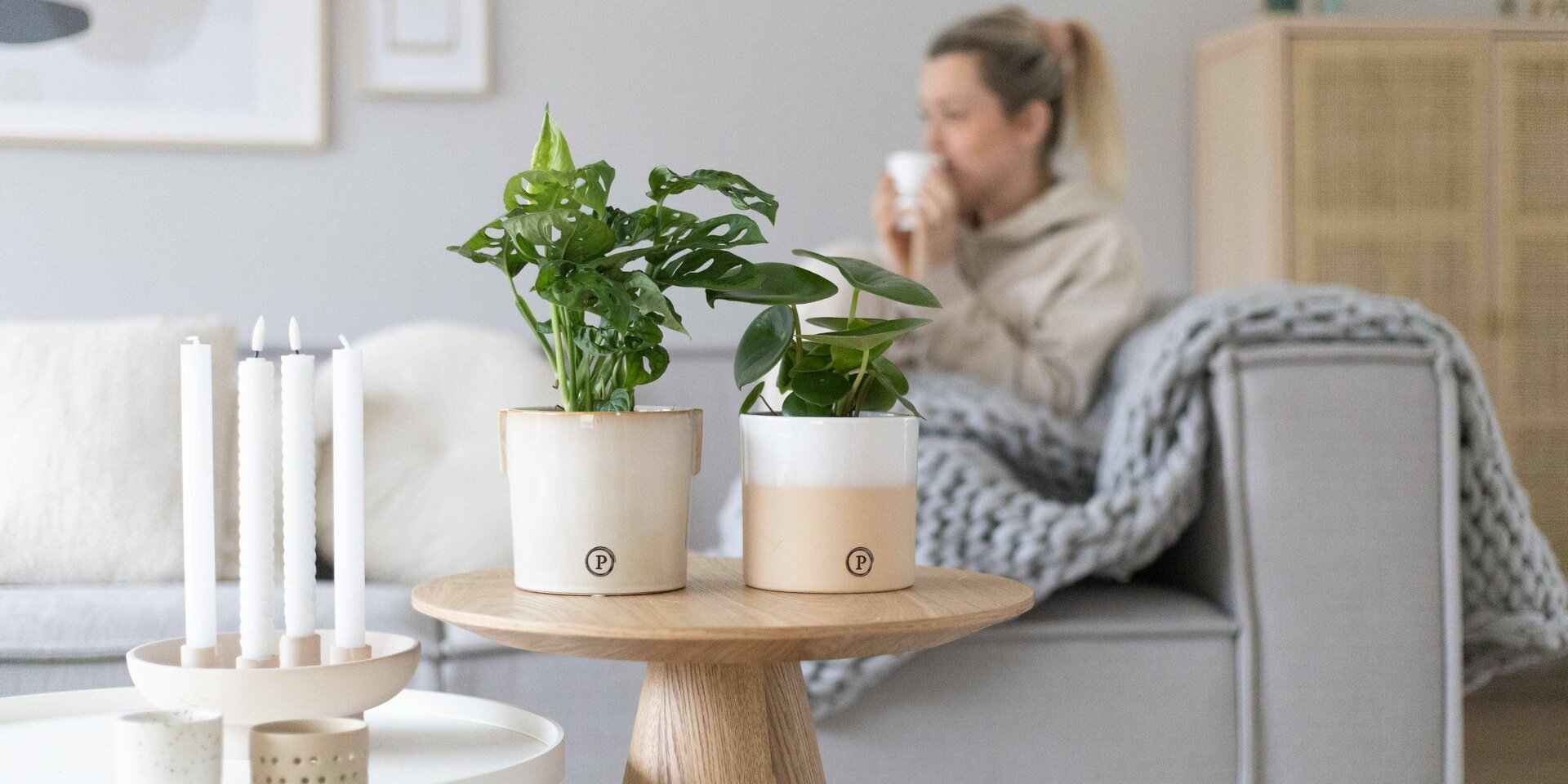 Unieke Pot & Plant creaties