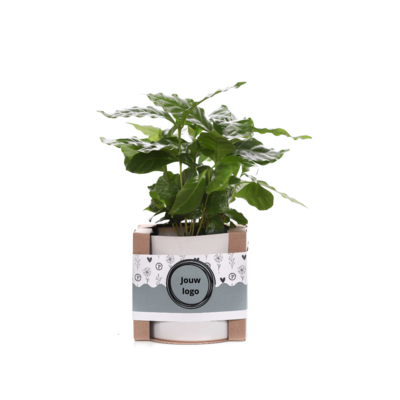 Plantshopper Afbeelding