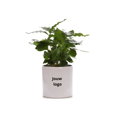 Plantshopper Afbeelding