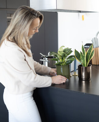 Plantshopper Afbeelding