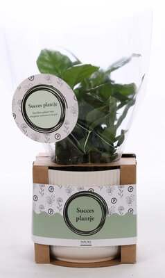 Plantshopper Afbeelding