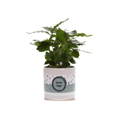 Plantshopper Afbeelding