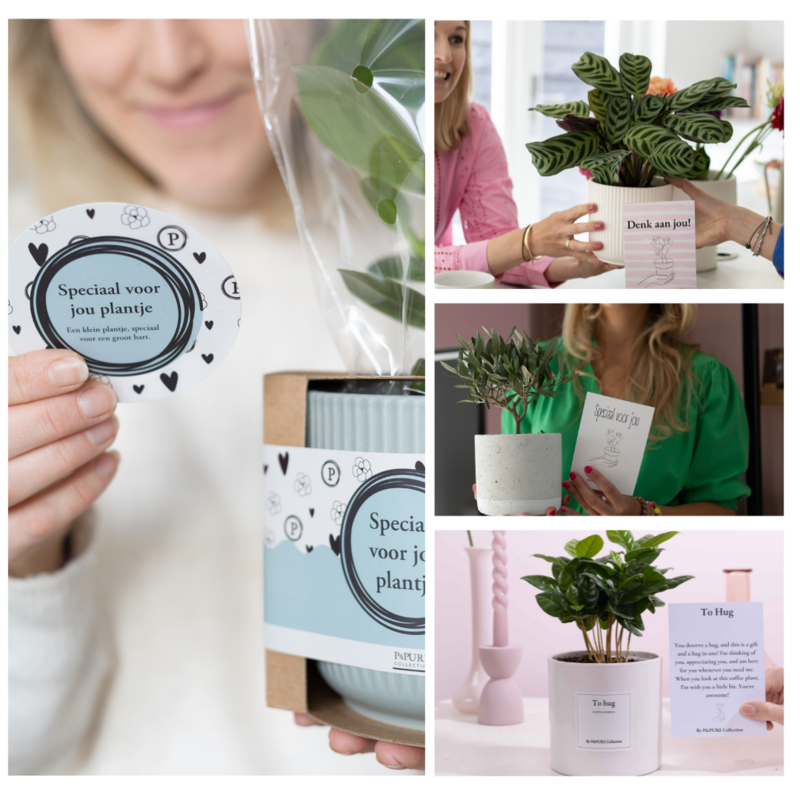 Plantshopper Afbeelding