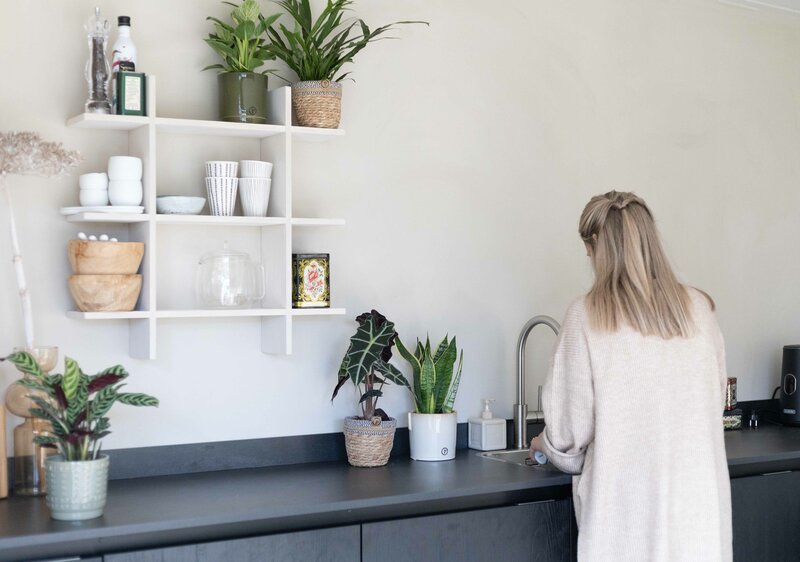 Plantshopper Afbeelding